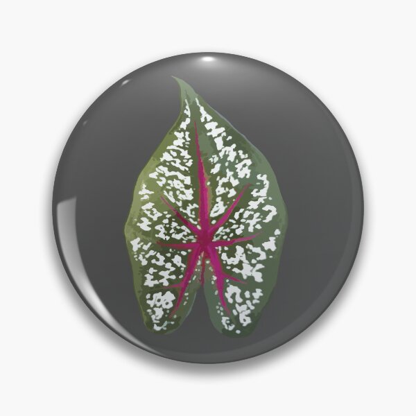 Item preview, heart-shaped leaves of Caladium bicolor designed and sold by MiMee4451.