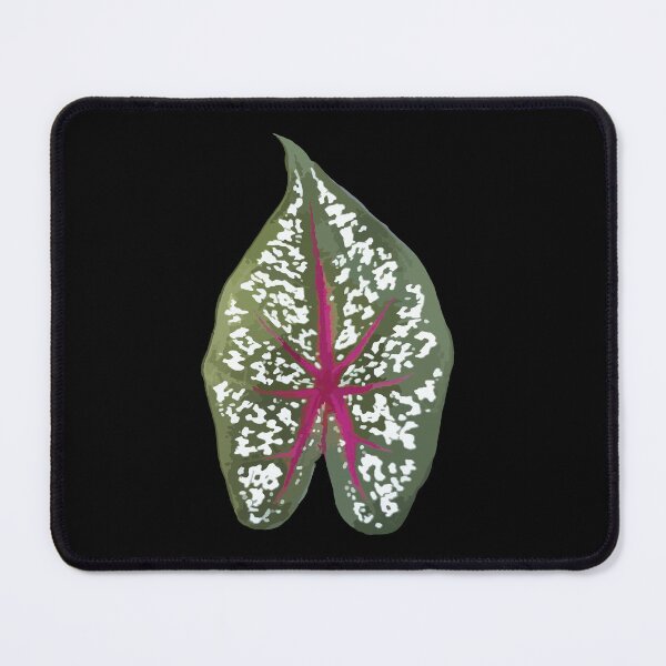 Item preview, heart-shaped leaves of Caladium bicolor designed and sold by MiMee4451.