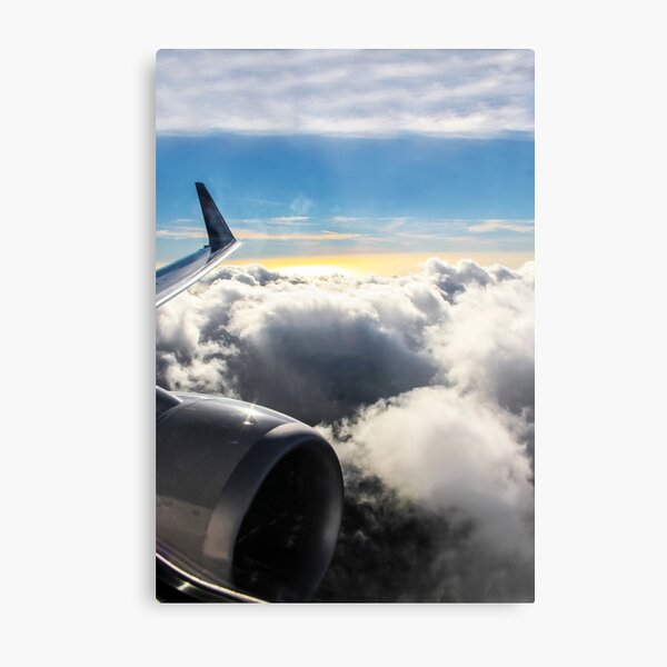High In the Sky Metal Print