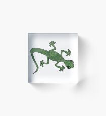 Green Gecko with pattern Acrylic Block