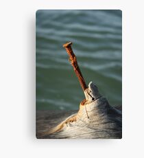 Unnatural Canvas Print