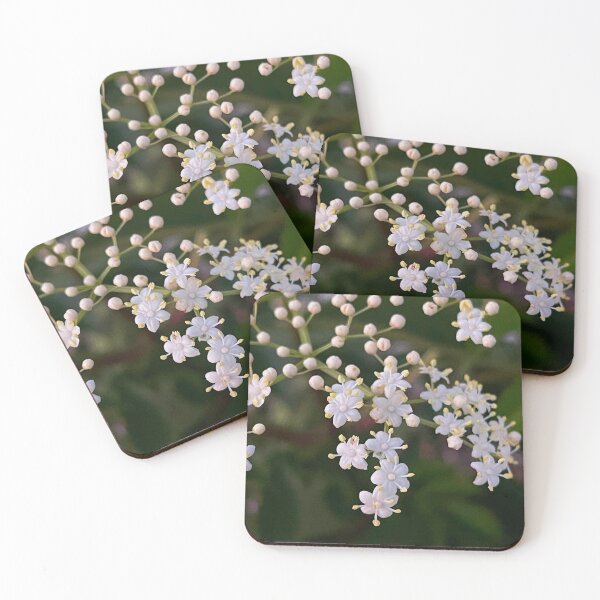 Item preview, Lacey White Elderberry Flowers  designed and sold by aadventures.