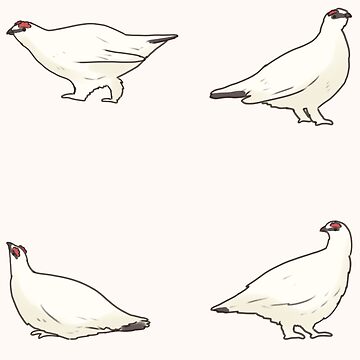 Artwork thumbnail, Rock Ptarmigan pack by Artofmayara