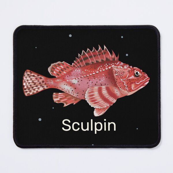 Item preview, Sculpin Fish Drawing for fish lovers designed and sold by Krokoneil.
