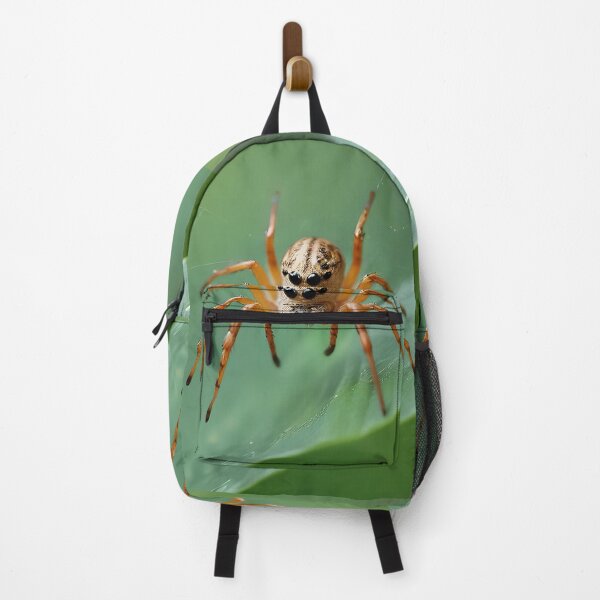 Item preview, Spider, digital art, designed and sold by Nomad-Maynard.