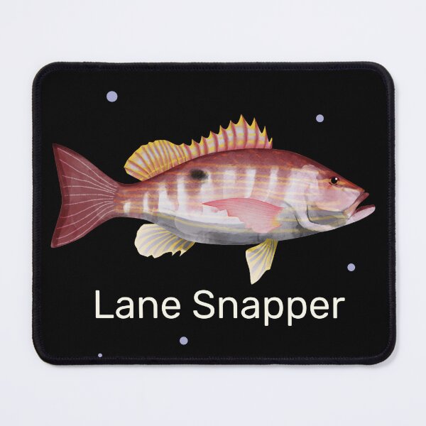 Item preview, Lane Snapper Fish Drawing designed and sold by Krokoneil.