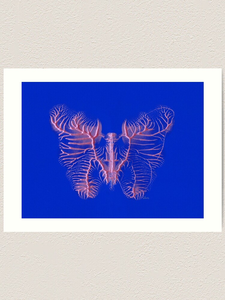 Decalcomania Butterfly 5518 Art Print By Mandalafractal Redbubble