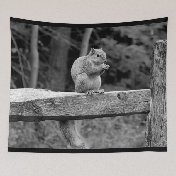 Item preview, Black And White Squirrel designed and sold by Bunmigraphics .