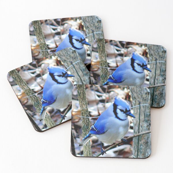 Item preview, Blue Jay Bird Picture designed and sold by Bunmigraphics .