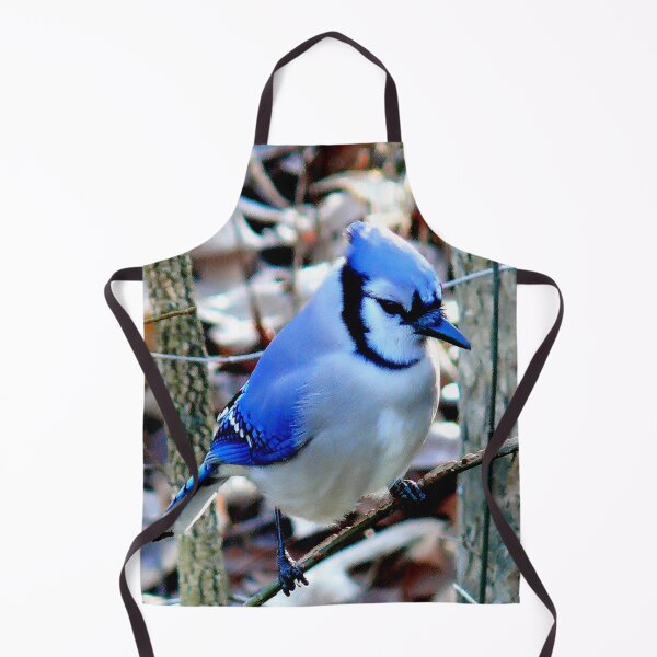 Item preview, Blue Jay Bird Picture designed and sold by Bunmigraphics .