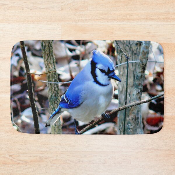 Item preview, Blue Jay Bird Picture designed and sold by Bunmigraphics .