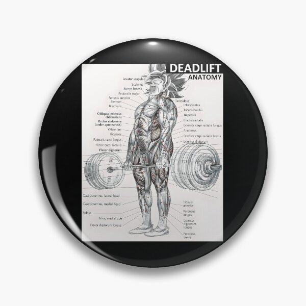 Item preview, 722 Deadlift Muscle Chart - Anatomy Diagram - Anime Gym Motivational	 designed and sold by iccoqfazbun10.