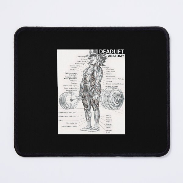 Item preview, 722 Deadlift Muscle Chart - Anatomy Diagram - Anime Gym Motivational designed and sold by iccoqfazbun10.