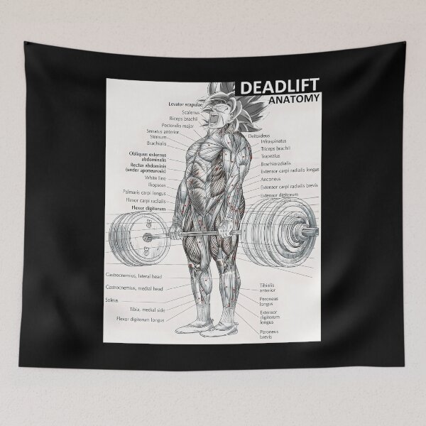 Item preview, 722 Deadlift Muscle Chart - Anatomy Diagram - Anime Gym Motivational	 designed and sold by iccoqfazbun10.