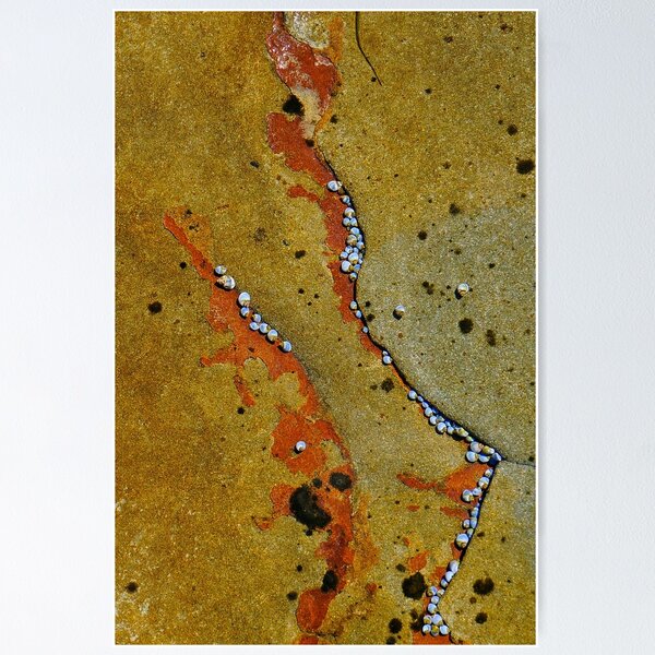 Item preview, Beach Art designed and sold by Harry Oldmeadow.