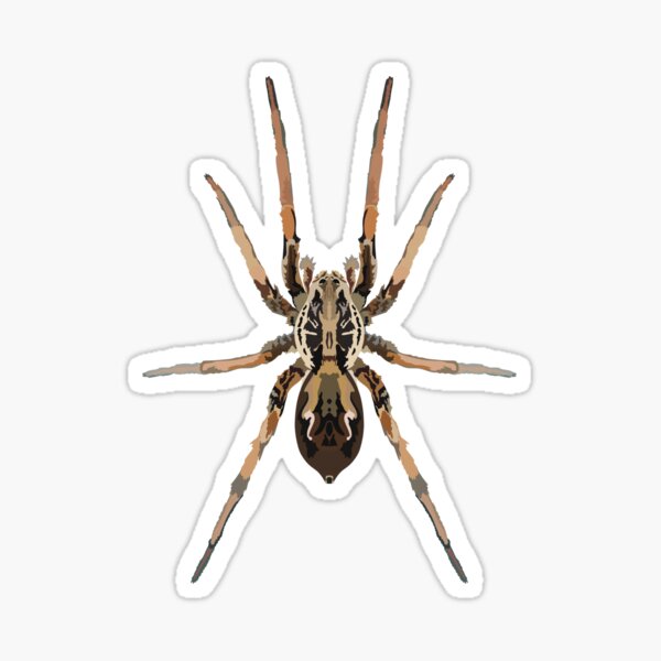 Item preview, W is for Wolf Spider ,Wolf Spider – Fierce and Agile Ground Spider Illustration designed and sold by thezoogirl.
