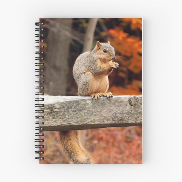 Item preview, Autumn Squirrel Picture designed and sold by Bunmigraphics .