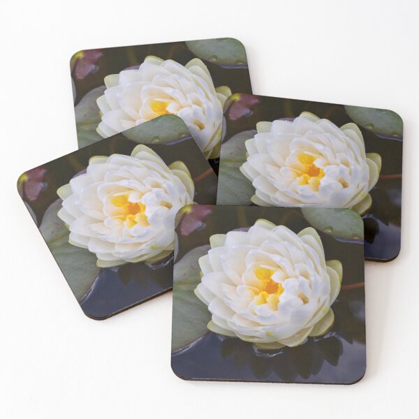 Item preview, White waterlily designed and sold by CatherineMoore4.