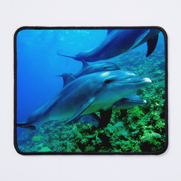 Item preview, Underwater Pod Of Dolphins designed and sold by Bunmigraphics .