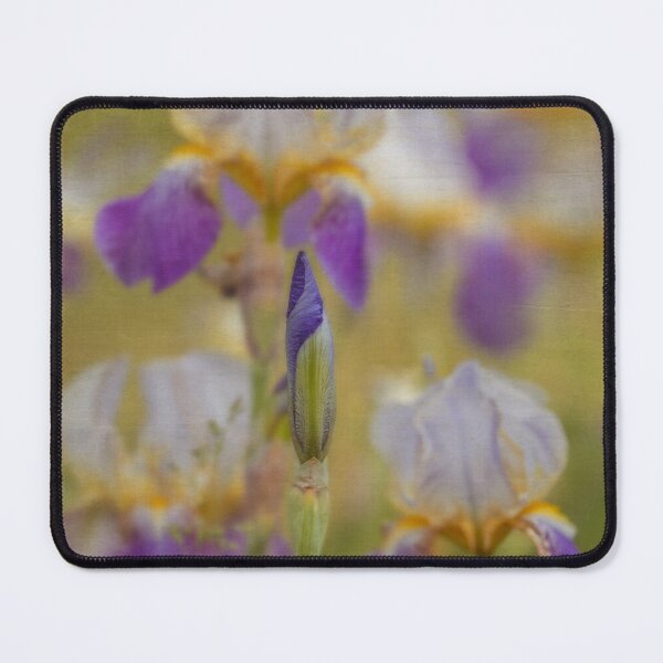 Item preview, Late Bloomer designed and sold by KEnzPhotography.
