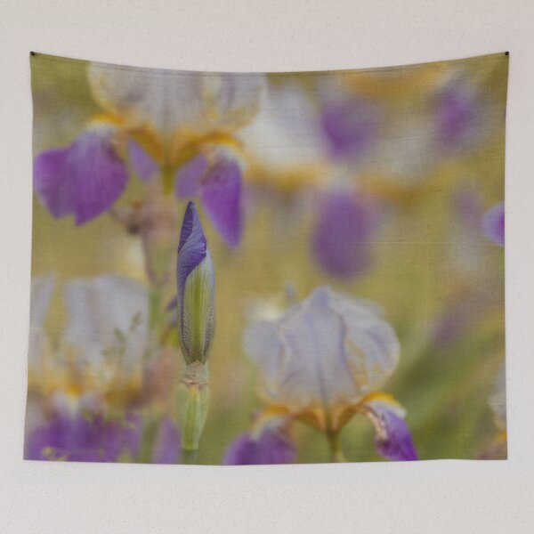 Item preview, Late Bloomer designed and sold by KEnzPhotography.