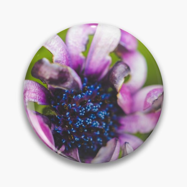 Item preview, Aging Gracefully designed and sold by KEnzPhotography.