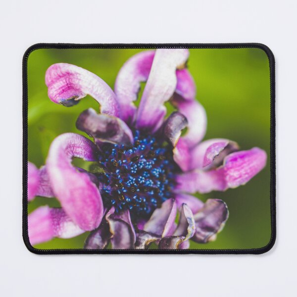 Item preview, Aging Gracefully designed and sold by KEnzPhotography.