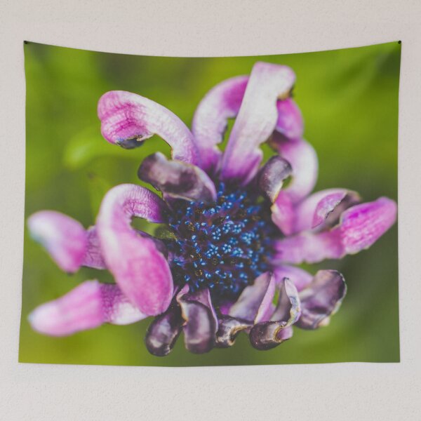 Item preview, Aging Gracefully designed and sold by KEnzPhotography.