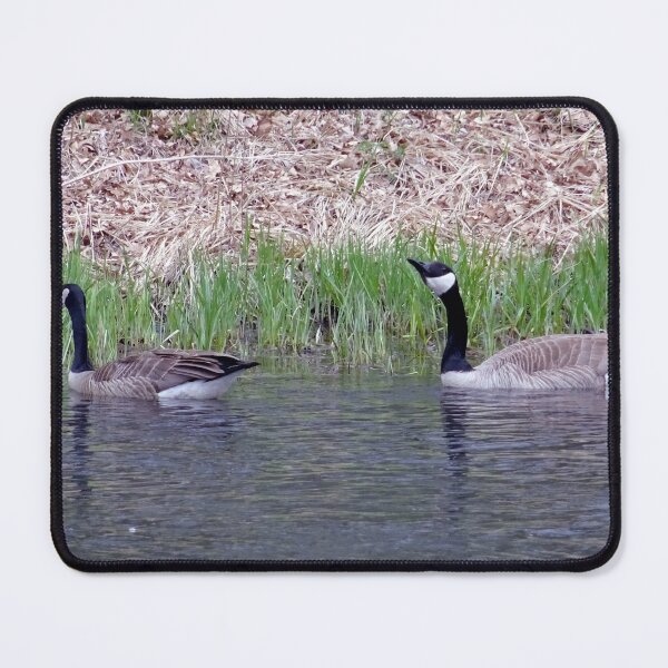 Item preview, Goosey Goosey Gander designed and sold by Rorymacve.