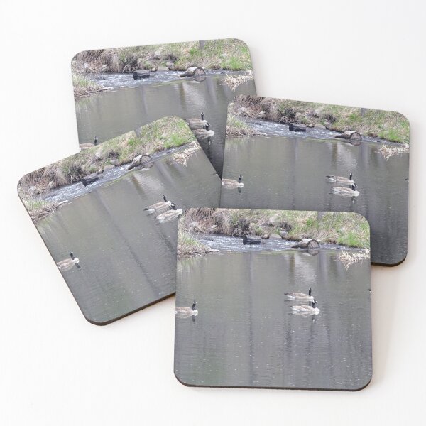 Item preview, The Waterfowl Flotilla designed and sold by Rorymacve.