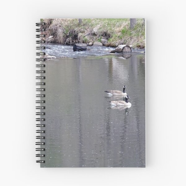 Item preview, The Waterfowl Flotilla designed and sold by Rorymacve.