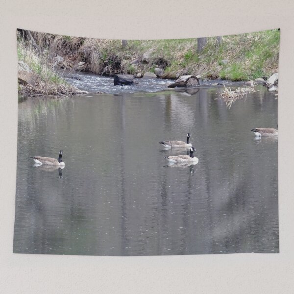 Item preview, The Waterfowl Flotilla designed and sold by Rorymacve.