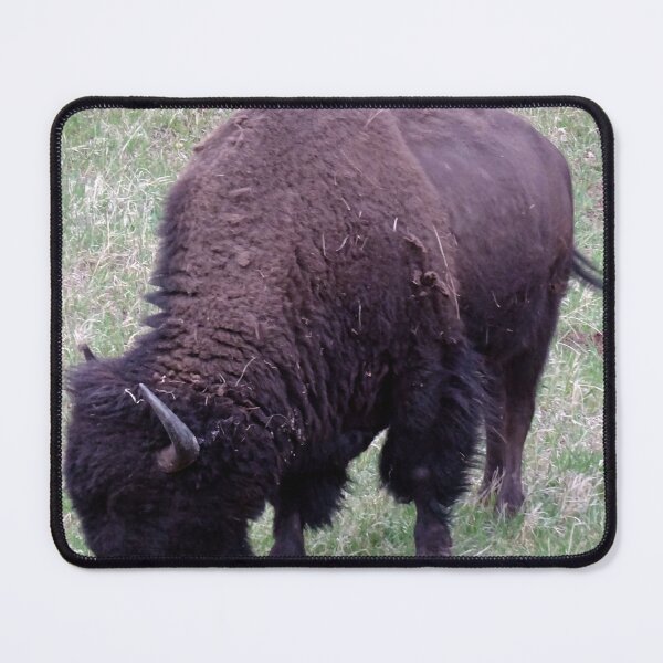 Item preview, Billy Bison designed and sold by Rorymacve.