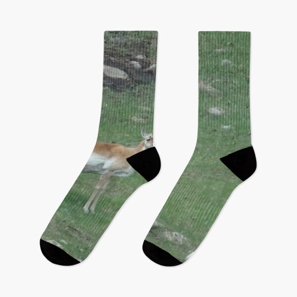 Item preview, South Dakota Antelope designed and sold by Rorymacve.