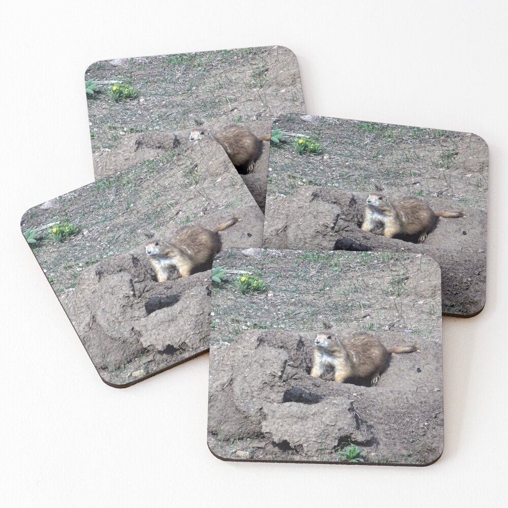 Item preview, Coasters (Set of 4) designed and sold by Rorymacve.