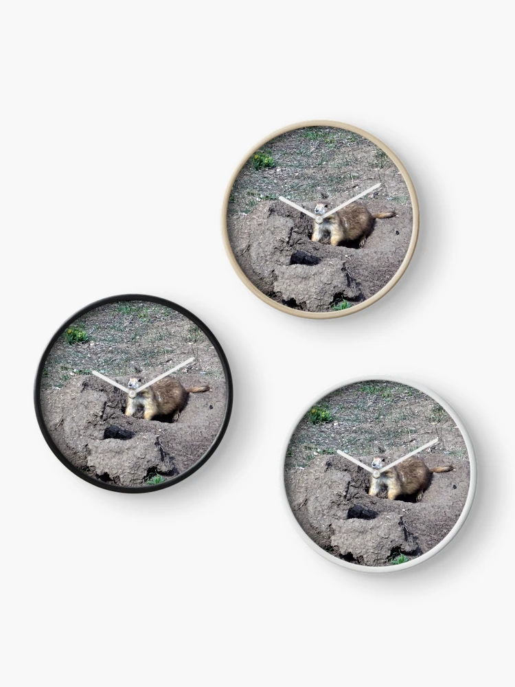 Thumbnail 3 of 4, Clock, Prairie Dog designed and sold by Rorymacve.