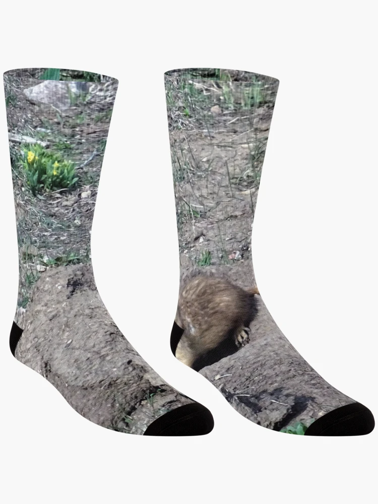 Thumbnail 3 of 5, Socks, Prairie Dog designed and sold by Rorymacve.