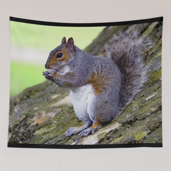 Item preview, Squirrel On A Tree designed and sold by Bunmigraphics .