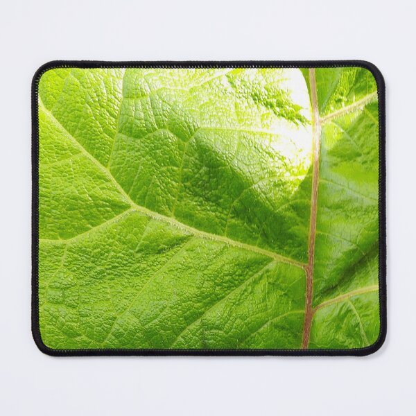 Item preview, Chard Foliage designed and sold by hajarsdeco.