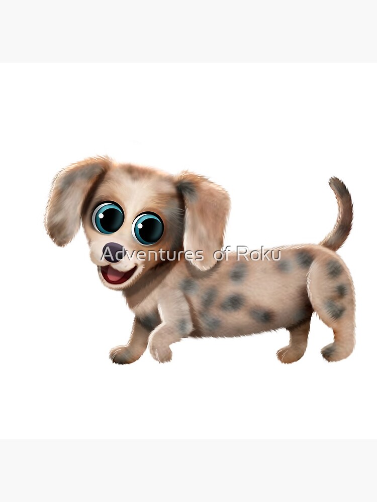 Dapple sausage dog puppy sale