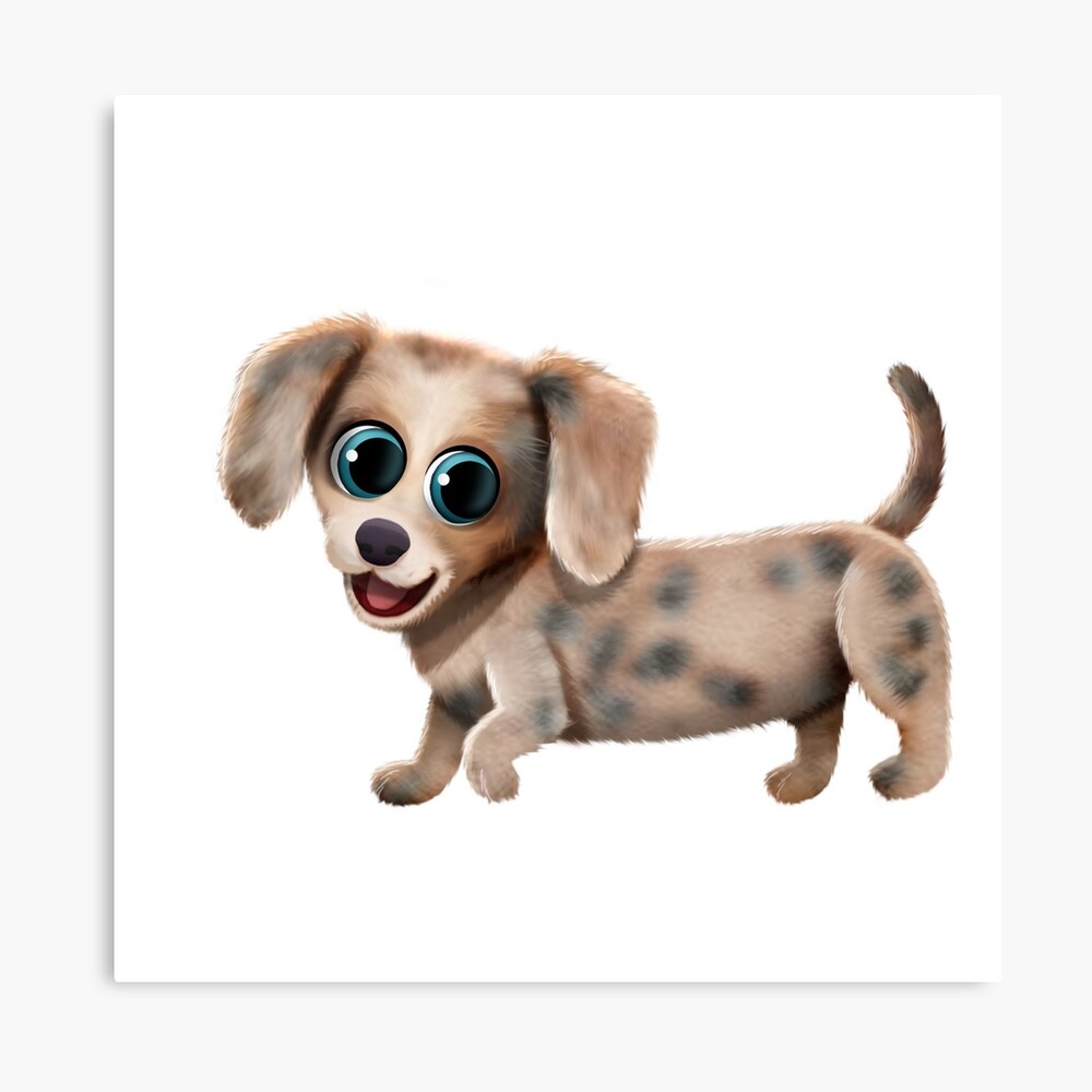 Dapple Sausage Dog Puppy Photographic Print By Bmuzz Redbubble