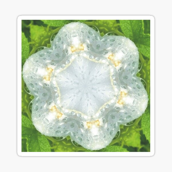 "Wet White Wild Rose" Mandala Green - by ID AD Art Sticker