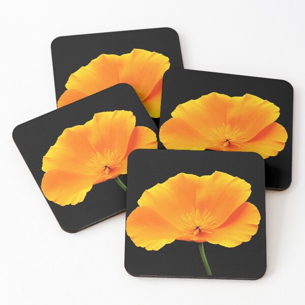 Item preview, Aesthetic Flower 5 designed and sold by DreamPrintPro.