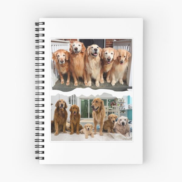 Item preview, The Golden Ratio  Squad Then & Now designed and sold by Marjitect.