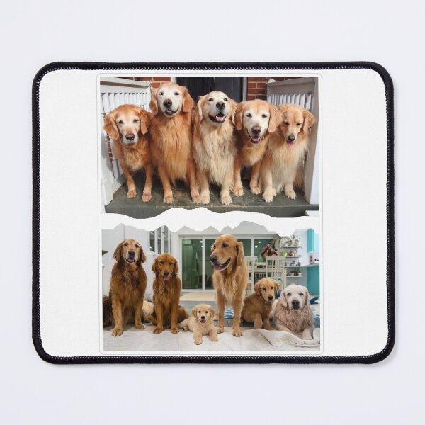 Item preview, The Golden Ratio  Squad Then & Now designed and sold by Marjitect.