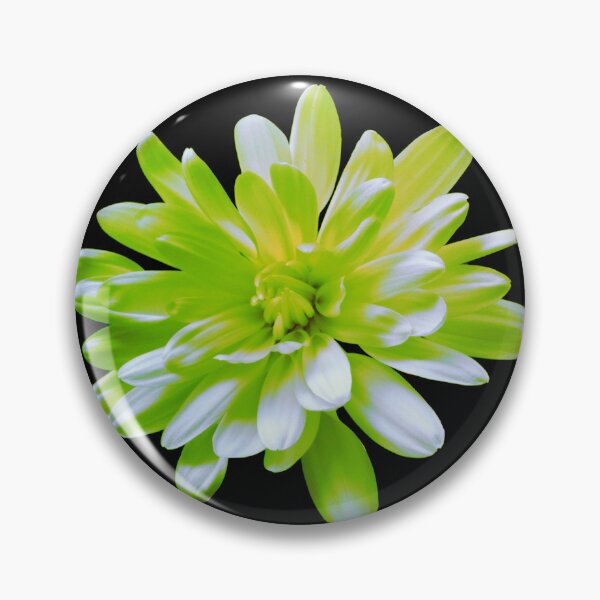 Artikelvorschau, Retro grüne Blumen Zinnie Chrysantheme Gänseblümchen entworfen und verkauft von hollycooper.