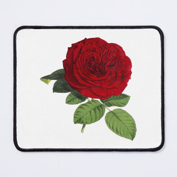 Item preview, Red Rose Pretty Flower designed and sold by MinezJi15.