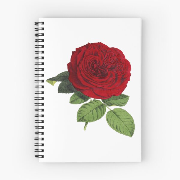 Item preview, Red Rose Pretty Flower designed and sold by MinezJi15.