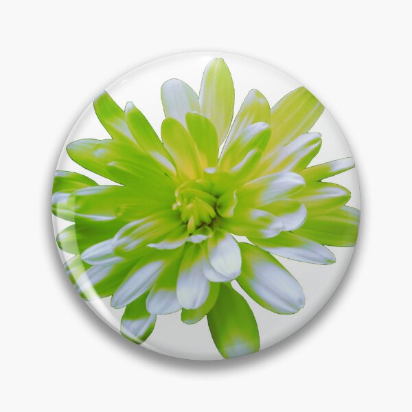Artikelvorschau, Retro grüne Blumen Zinnie Chrysantheme Gänseblümchen entworfen und verkauft von hollycooper.