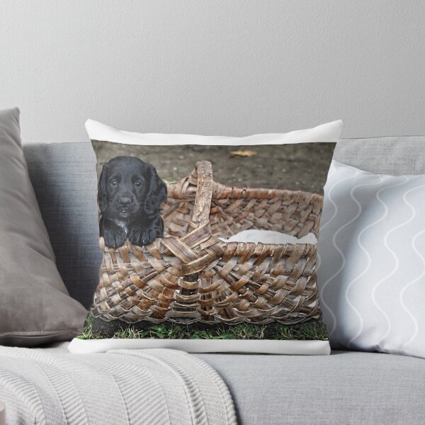 Item preview, Take Me Home designed and sold by clint hudson.